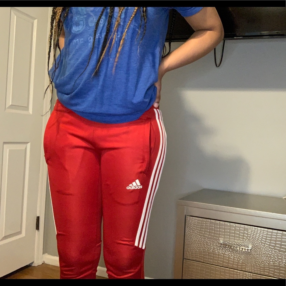 Tiro 19 Adidas Trackpants